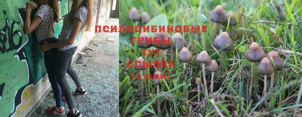 ALPHA-PVP Армянск
